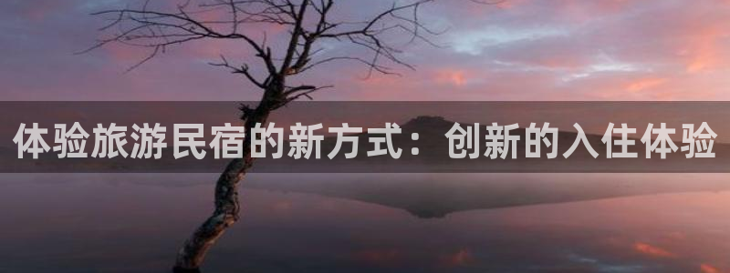 球盟会官方|体验旅游民宿的新方式：创新的入住体验