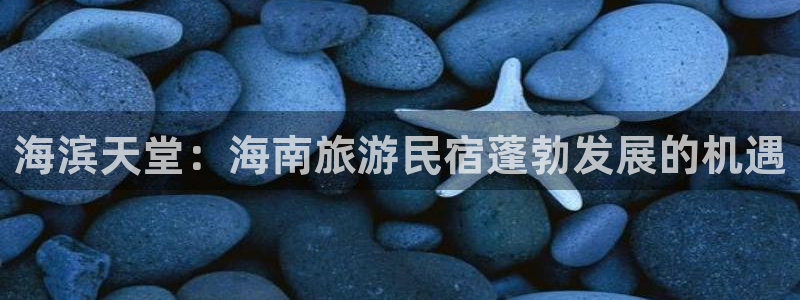 球盟会com|海滨天堂：海南旅游民宿蓬勃发展的机遇
