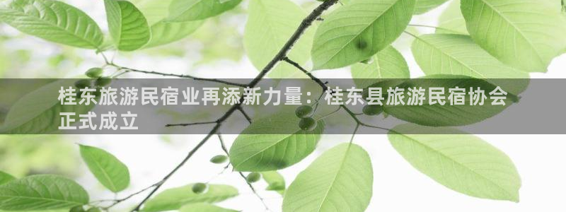 球盟会是正规平台吗